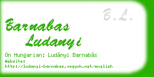 barnabas ludanyi business card
